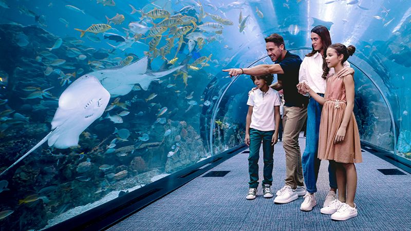 A family of four observes fish, a stingray, and other sea creatures through a glass tunnel at an aquarium.
