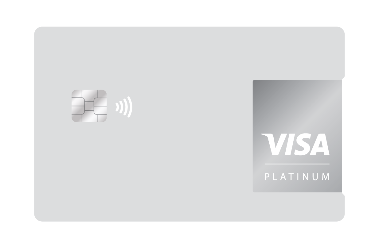 visa_cards_VISA_horiz_platinum Visa_Platinum
